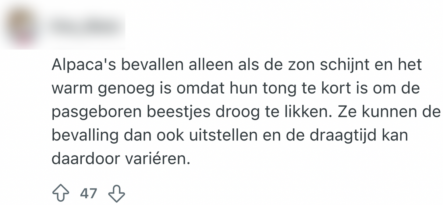 feitjes