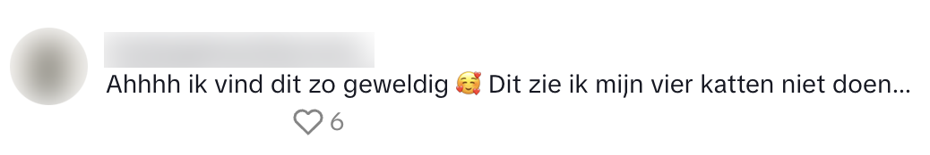 verkeerslicht