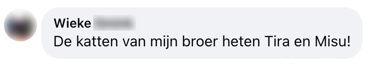huisdieren