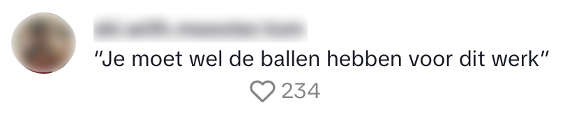schoonmaken 