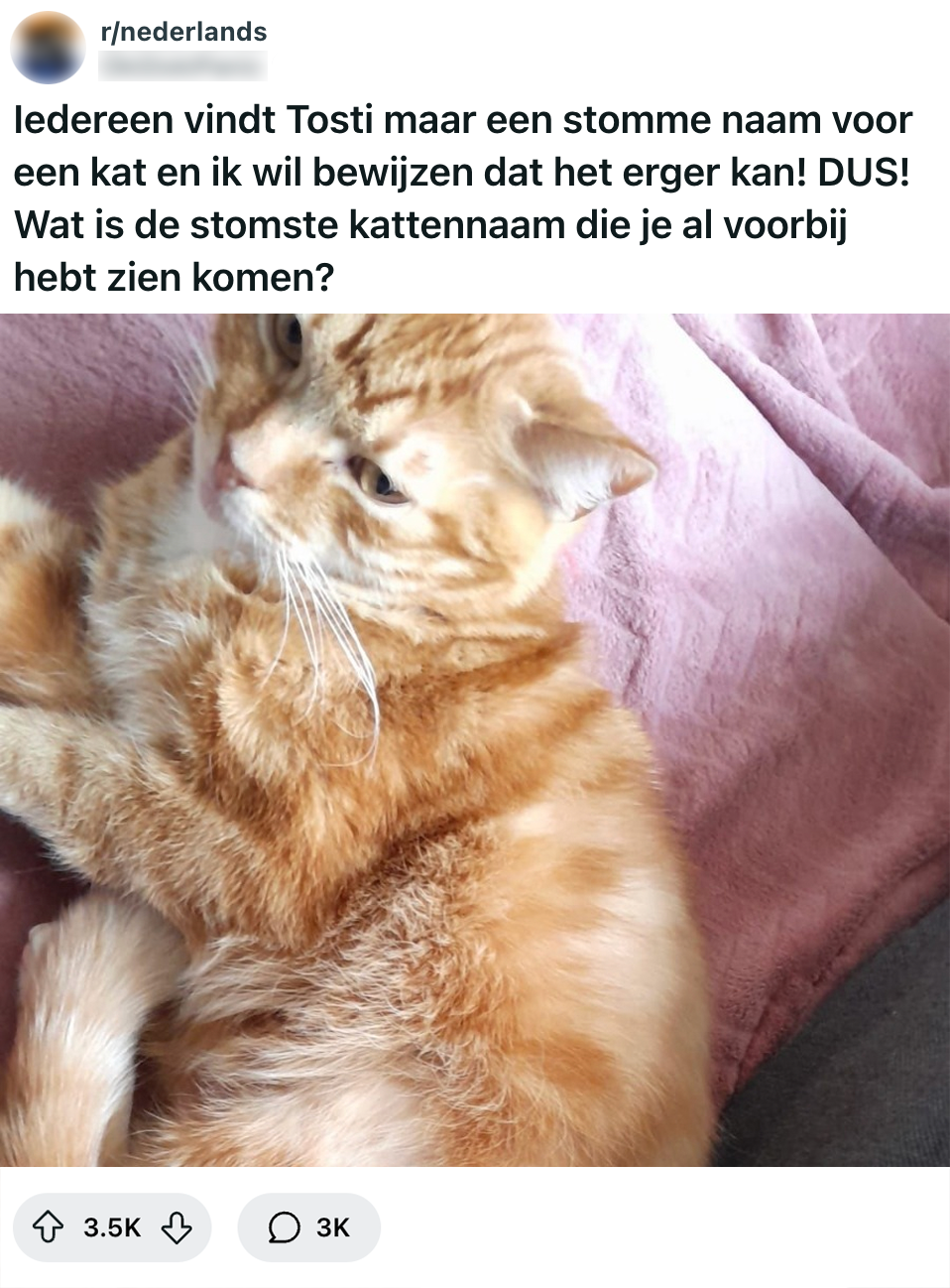 Tosti
