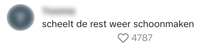 schoonmaken 