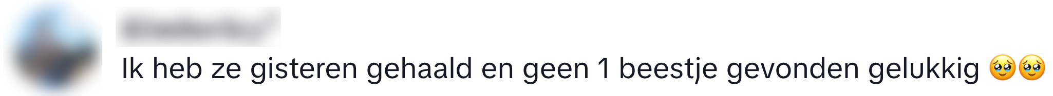 albert heijn