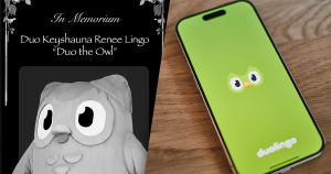 duolingo foto