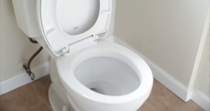 toilet
