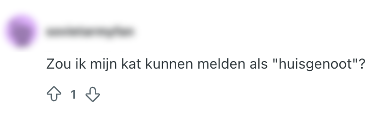 belastingaangifte
