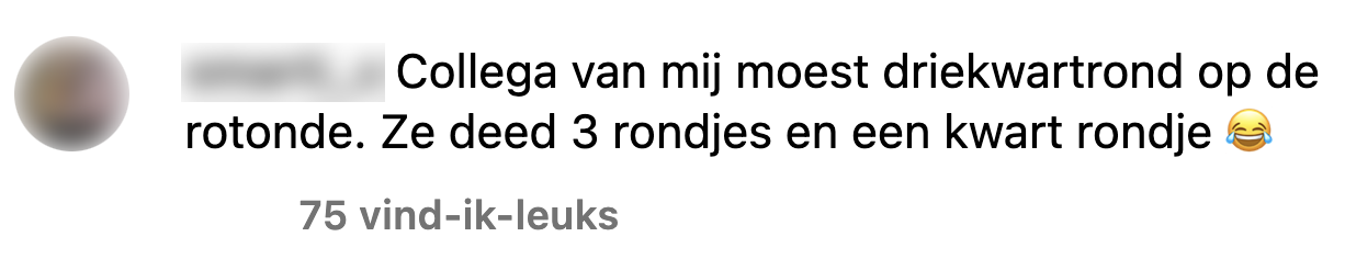 rijles