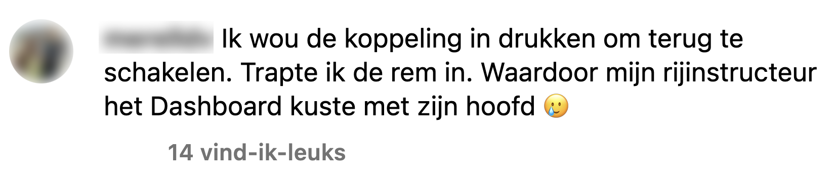 rijles