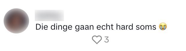 weggebruikers