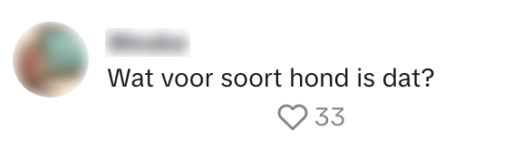roofvogelboerderij