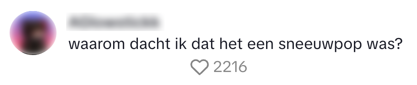 NS