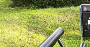 bank header 1