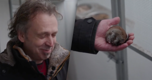 hamster foto