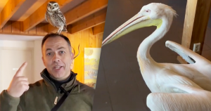 roofvogelboerderij zonder