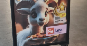 solow uitgelicht