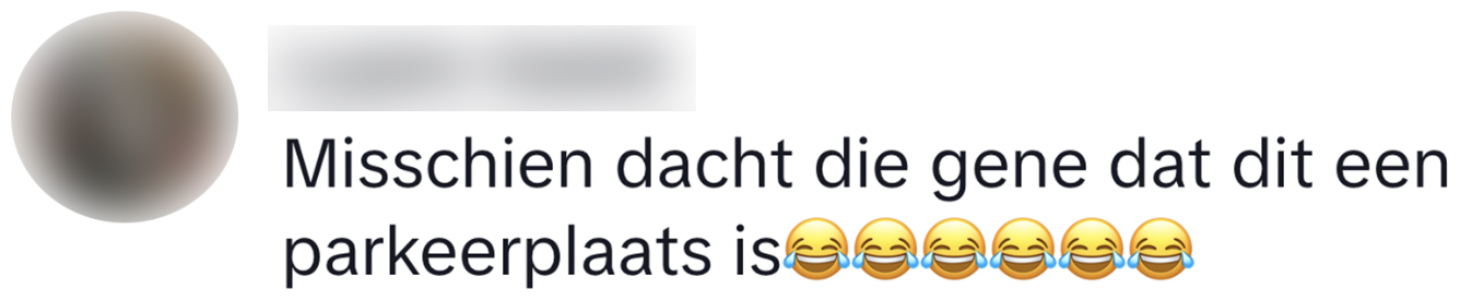 rijles