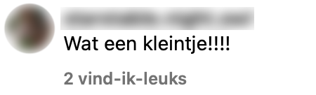 augurk