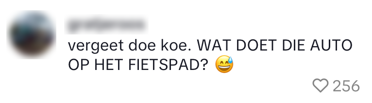 weggebruiker fietspad