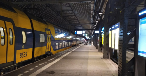 uitgelicht