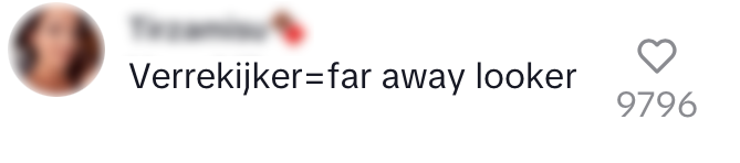 vertalen