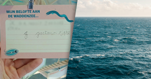 zee header 1