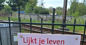 uitgelicht