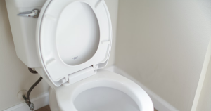 uitgelicht wc