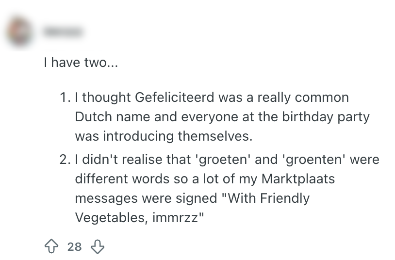 twee blunders tijdens nederlands leren