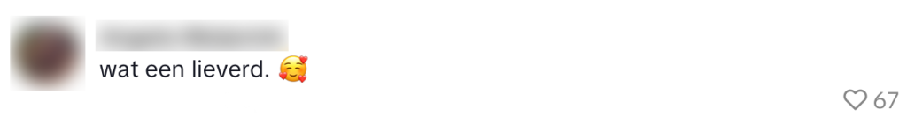 avondvierdaagse bewoner kinderen zwaaien