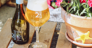 bier uitgelicht
