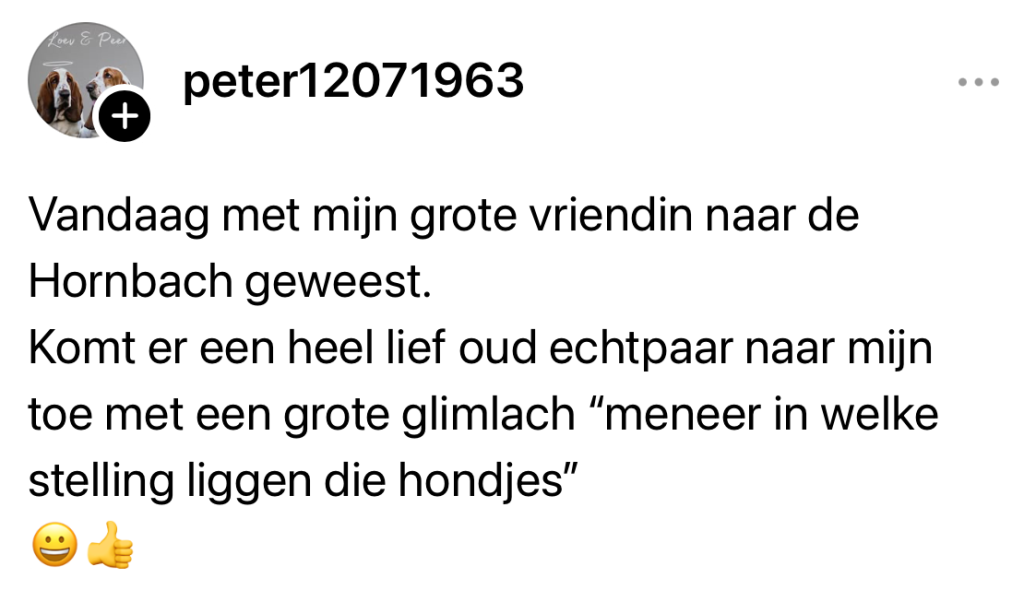 Hornbach populair item winkelkar hond