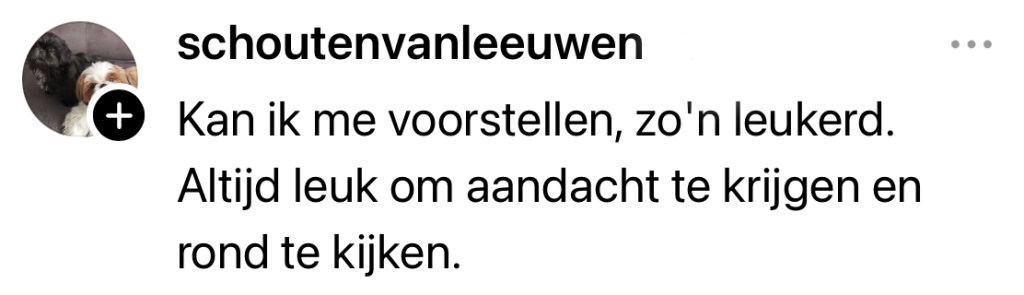 Hornbach populair item winkelkar hond