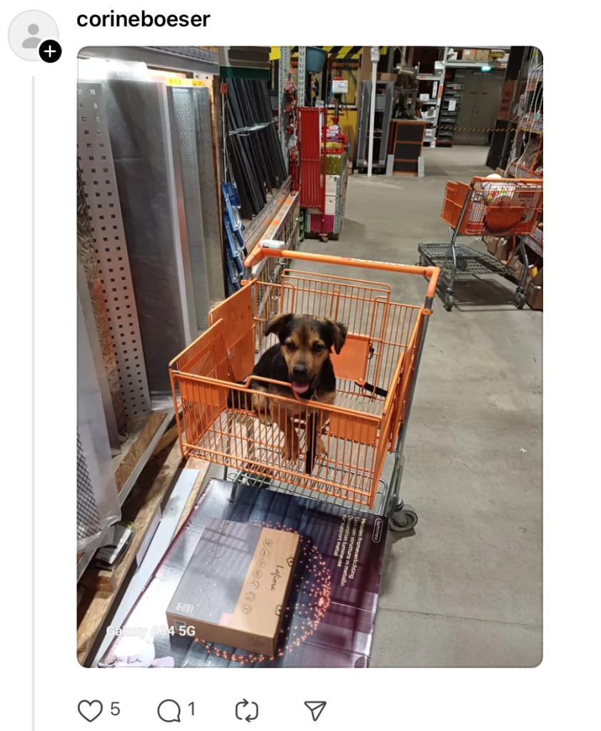 Hornbach populair item winkelkar hond