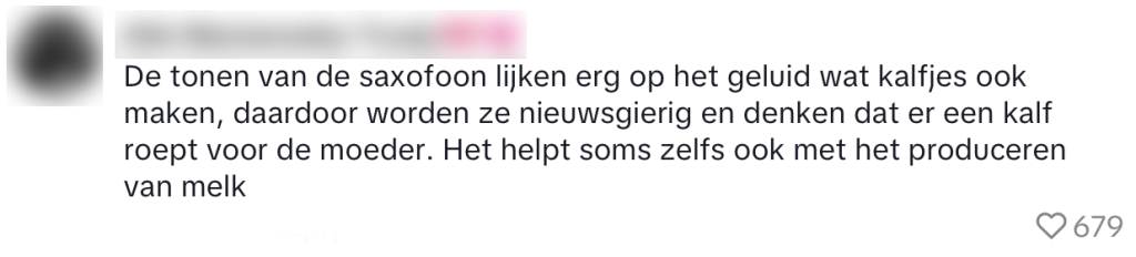 koeien lokken wandelaar wandeling koe jazz