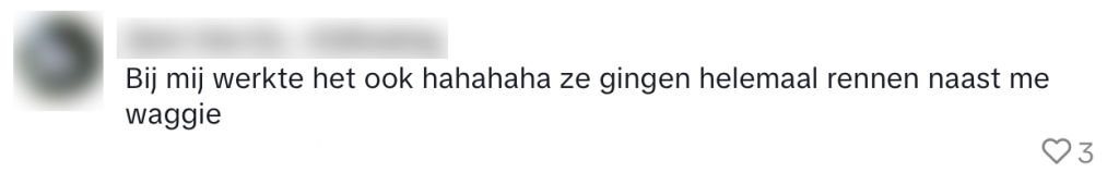 koeien lokken wandelaar wandeling koe jazz