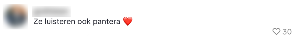 koeien lokken wandelaar wandeling koe jazz