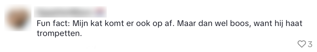 koeien lokken wandelaar wandeling koe jazz