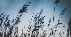 weersomstandigheden zonder