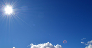 zon header 1
