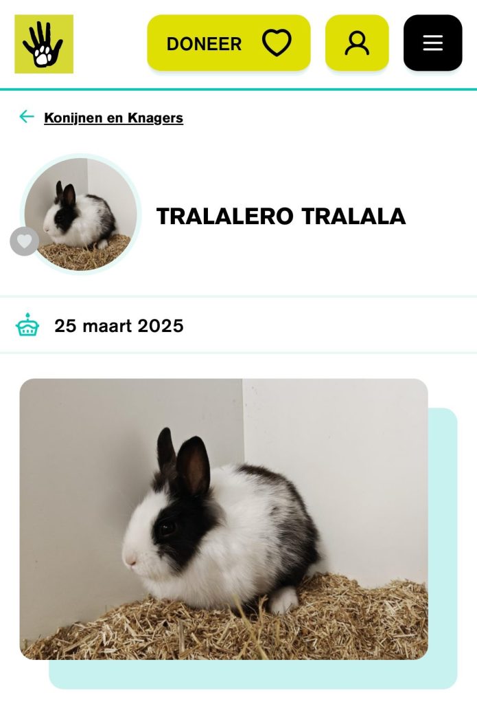 tralalero tralala