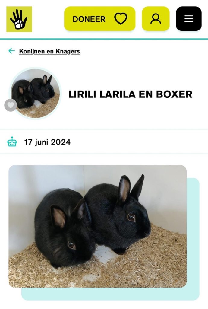 lirili larila