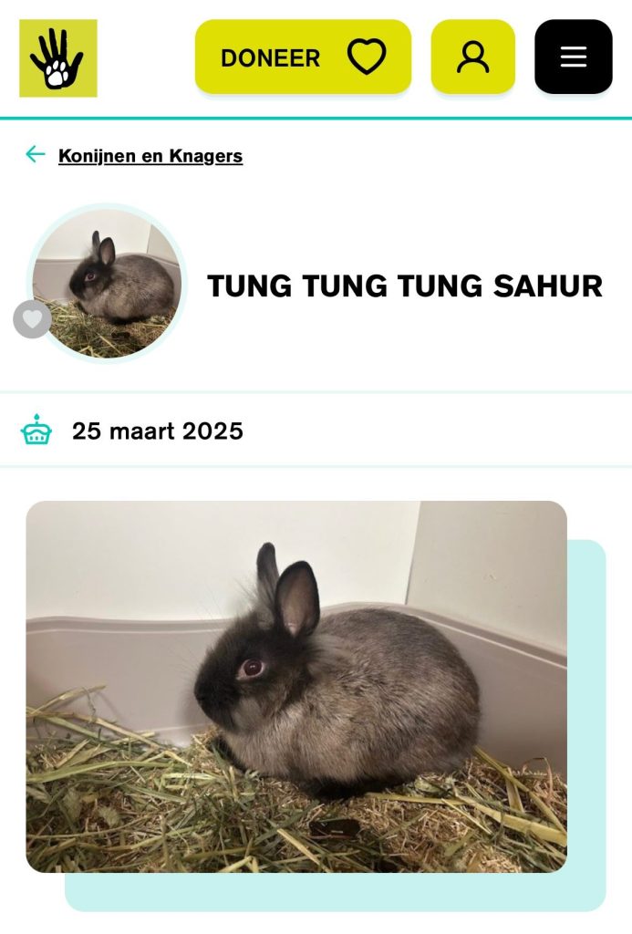 tung tung tung sahur