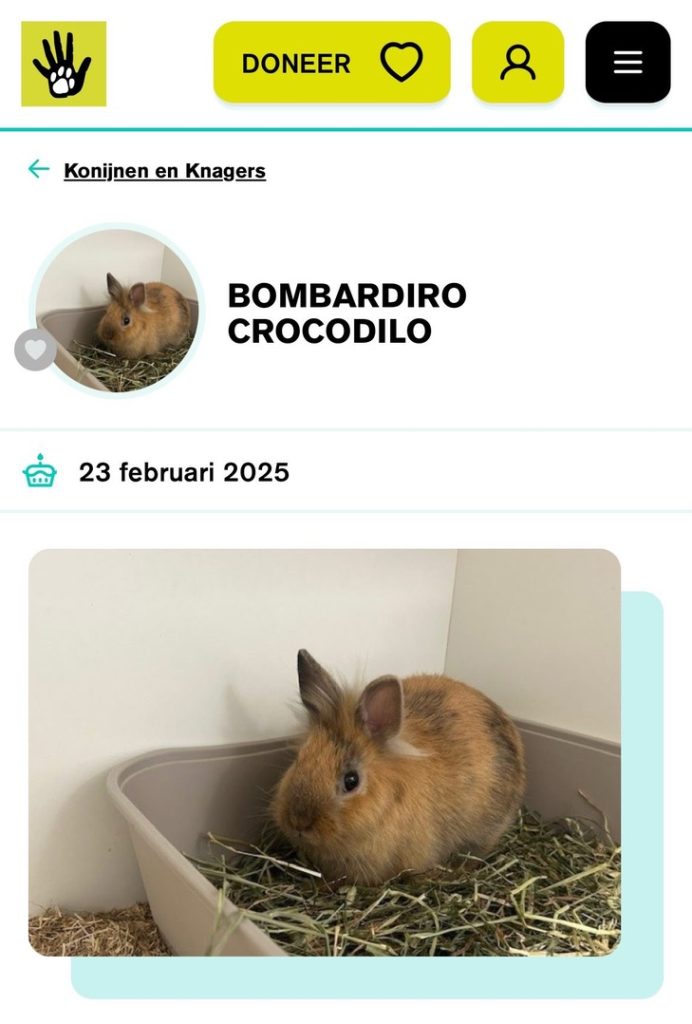 bombardiro crocodilo