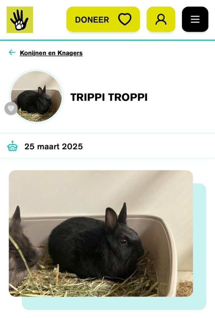 trippi troppi