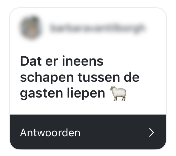 schapen