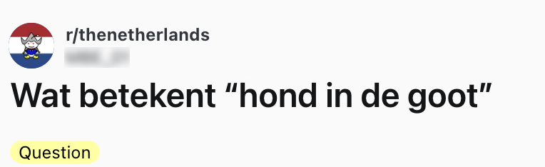 vraag hond in de goot