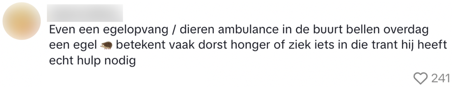 dierenopvang