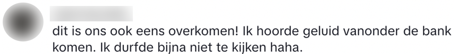 bewoner