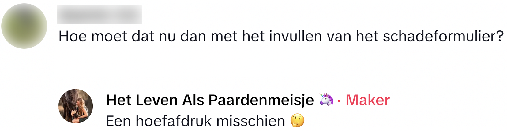 schotse hooglander