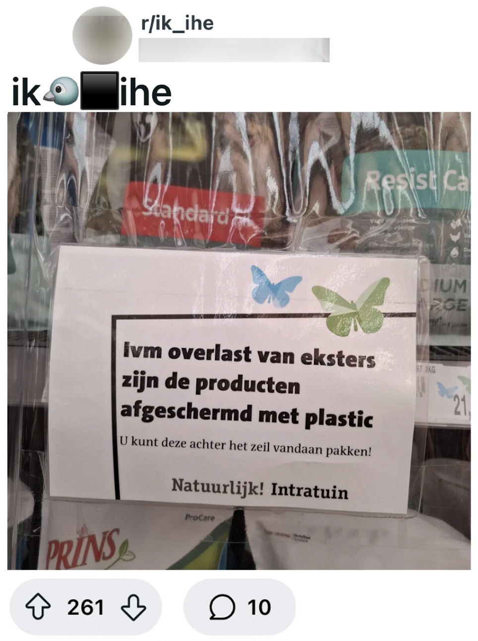 bordje